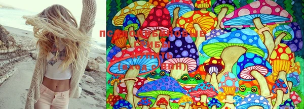 крисы Белокуриха