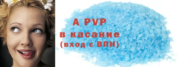 крисы Белокуриха