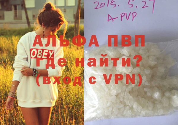 крисы Белокуриха