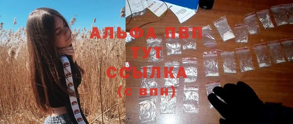 крисы Белокуриха