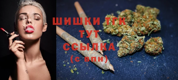 крисы Белокуриха