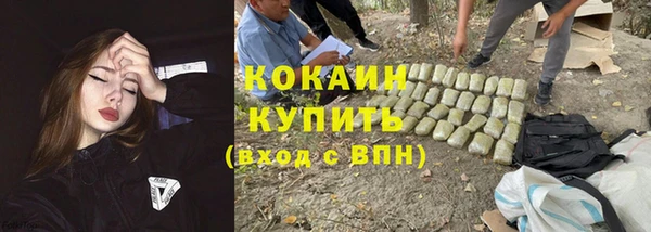 крисы Белокуриха