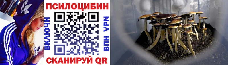 Псилоцибиновые грибы мухоморы  Омск 